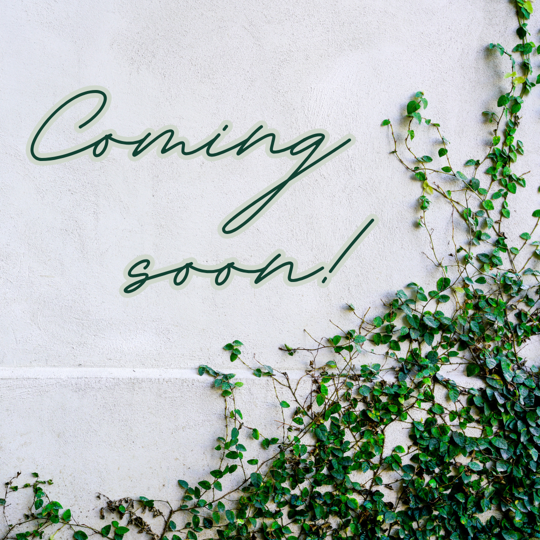 Pedestal Shelf Sitters (& their Inserts)