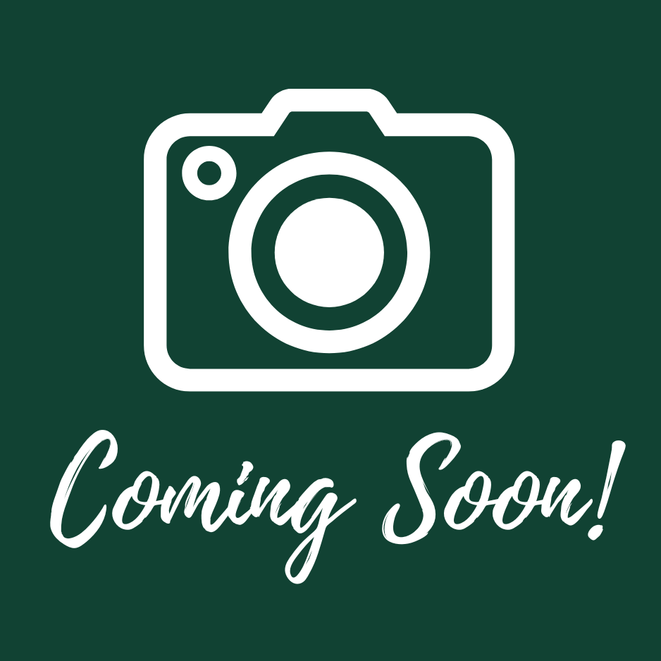 Layered Round Ornament with Virginia Accents