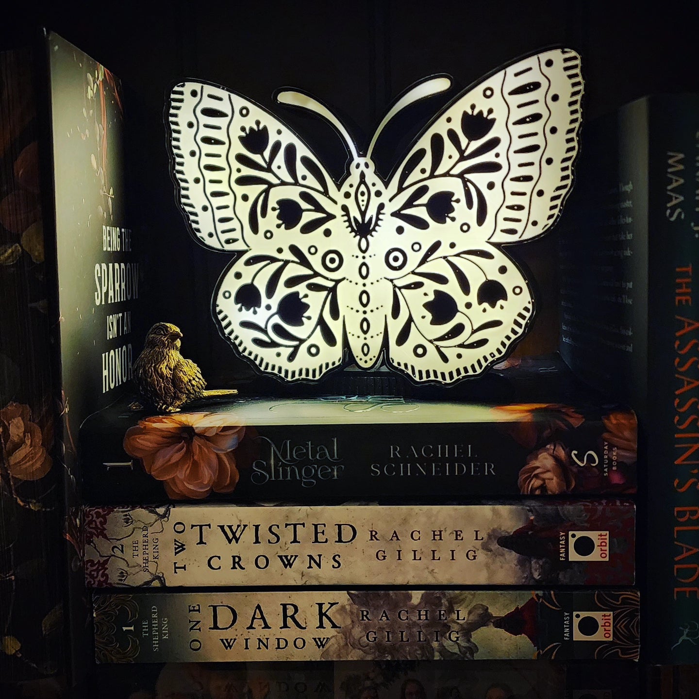 Moth Light